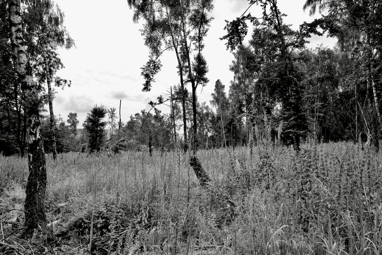 Natur – Sascha Büttner Fotografie
