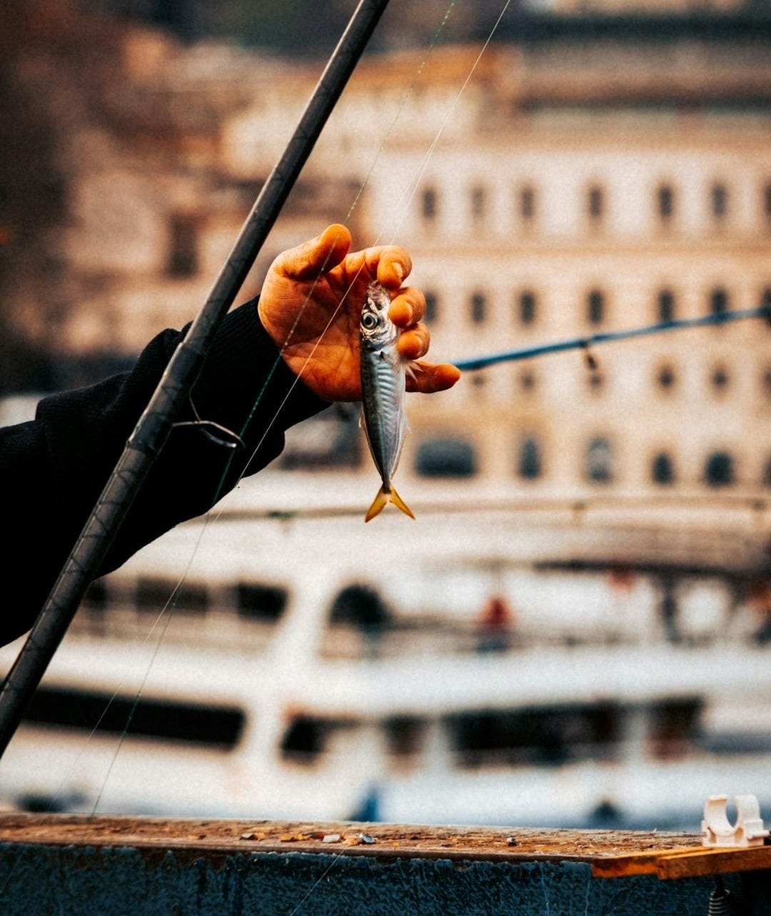 a person holding a fish on a fishing rod