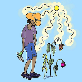 Newsflash: Summer is HOT, Even for Plants 