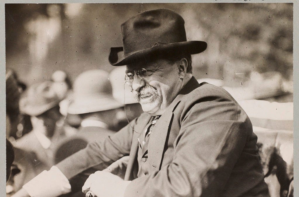Theodore Roosevelt by William Jefferson Clinton