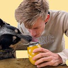 I got engaged in the redwoods!