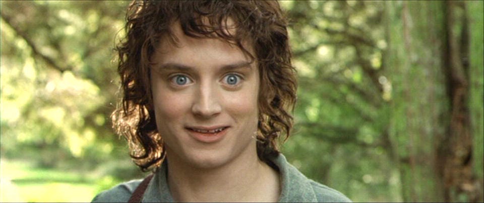 Wide-eyed Frodo