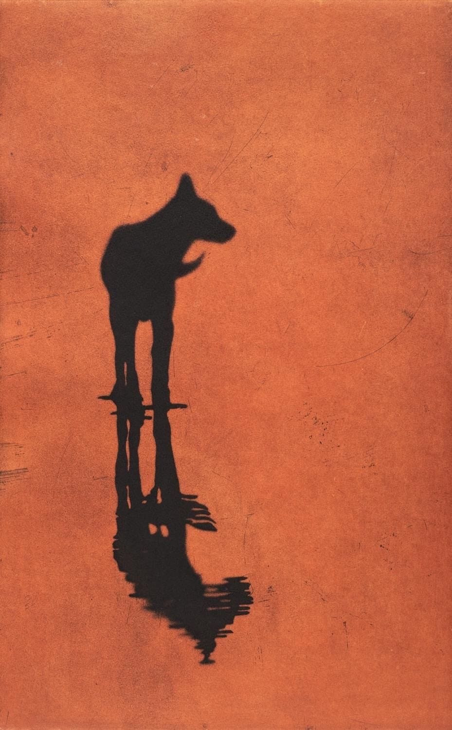 A Coyote In A Field Of Wolves