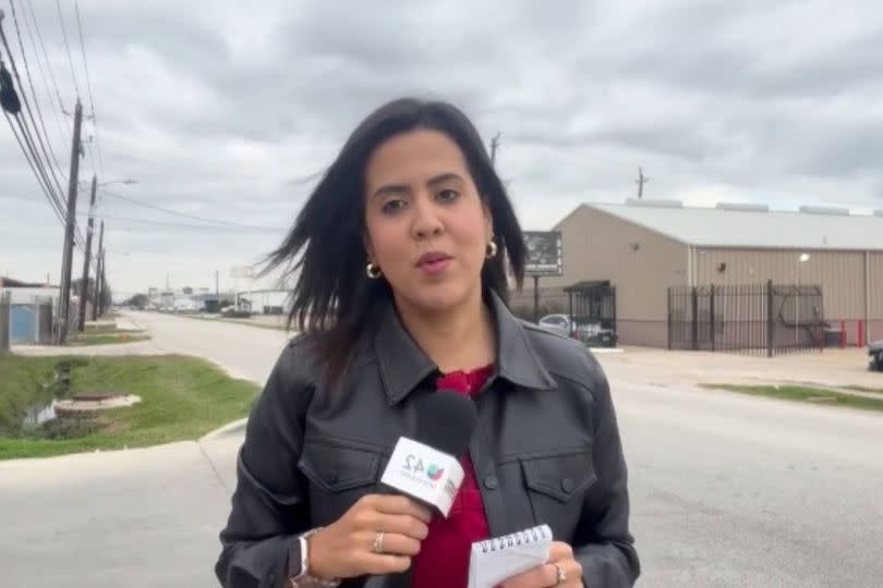 Immigration reporter detained by ICE after dropping off her eight-year-old  daughter - AOL