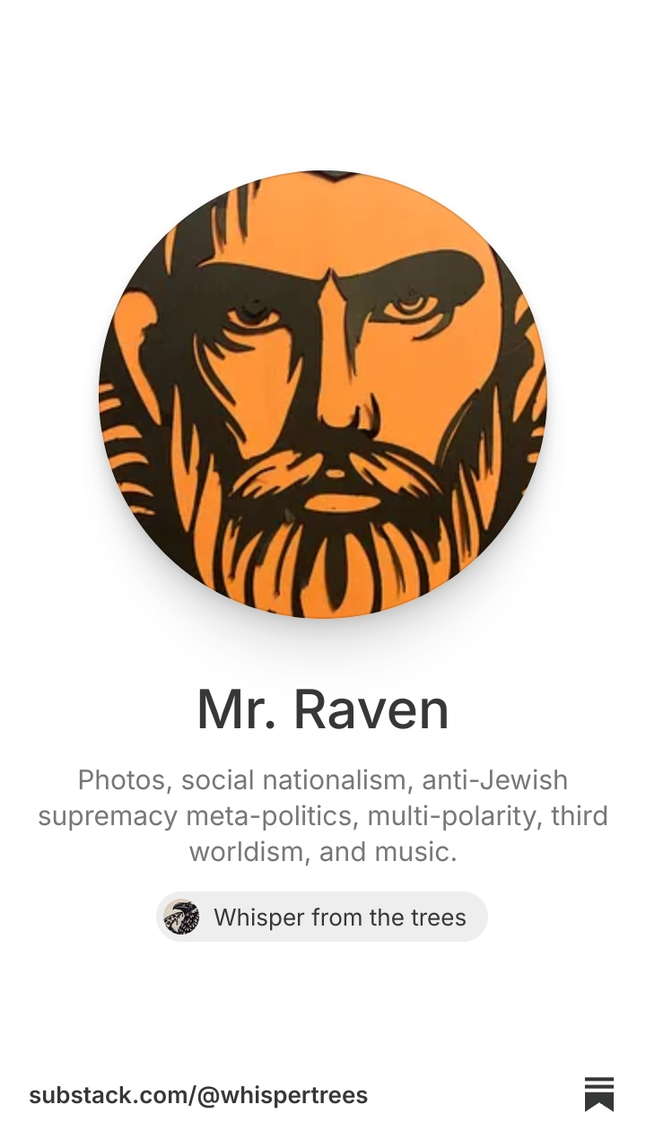 Mr. Raven | Substack