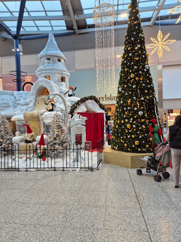 Christmas photos, by Terry