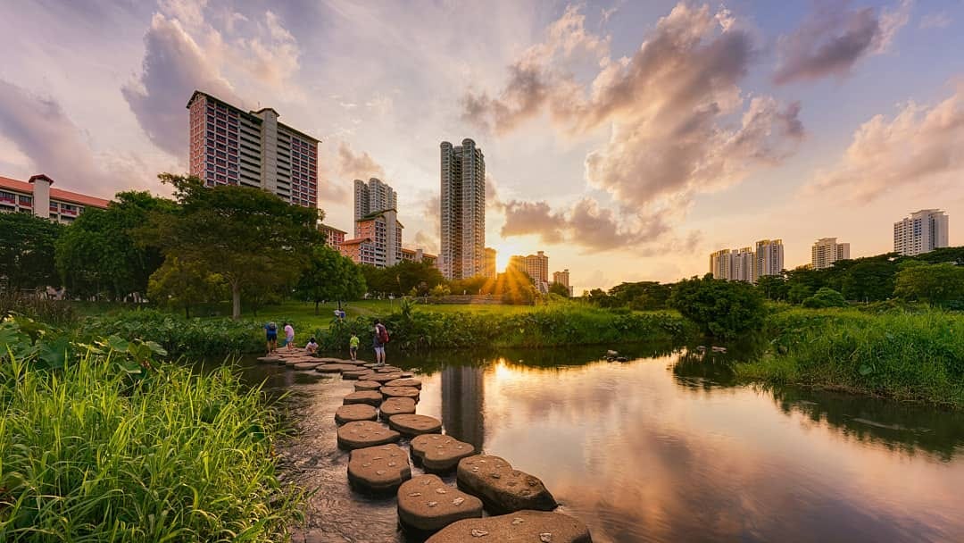 Bishan-Ang mo kio Park river view Bishan-Ang mo kio Park river view