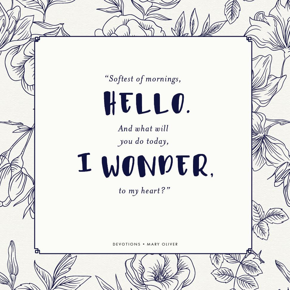 May be an illustration of text that says '"Softest of mornings, HELLO. And what will you do today, I WONDER, to my tomhe?" heart DEVOTIONS MARY OLIVER'