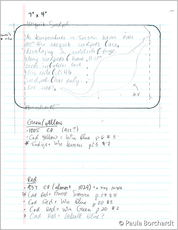 My initial pencil sketch and notes for Velvet Mesquite Seedpod, 2020