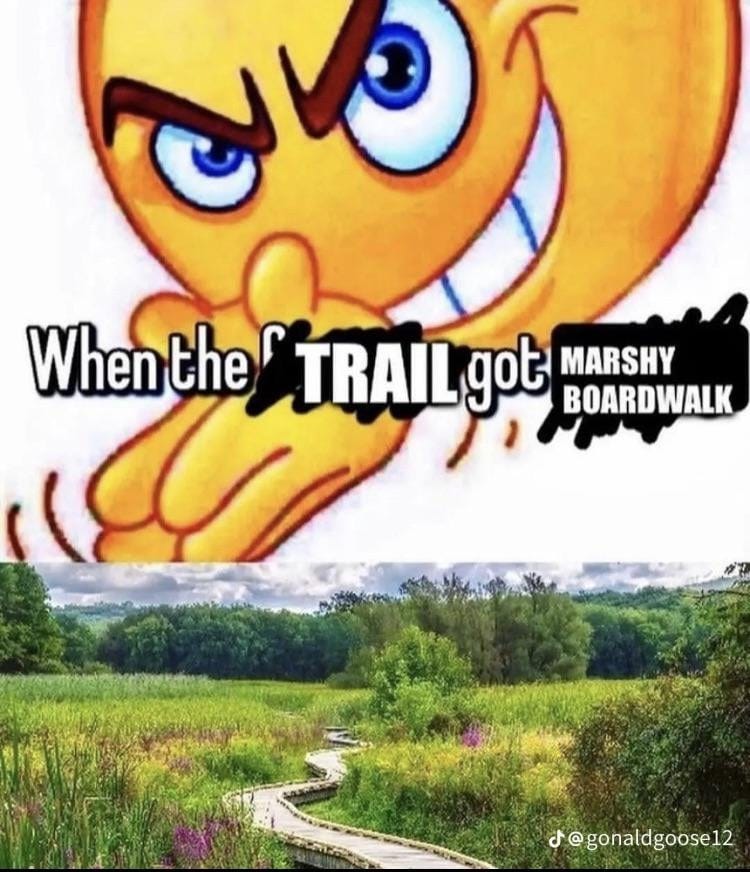 Anyone else find wooden boardwalk trails sensual as fuck? Clean, woody noise, and can run like a maniac without fear of tripping : r/aspiememes Anyone else find wooden boardwalk trails sensual as fuck? Clean, woody noise, and can run like a maniac without fear of tripping : r/aspiememes