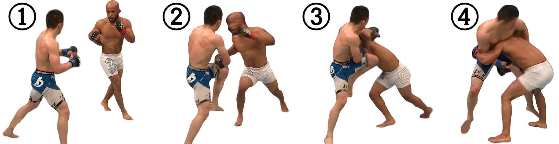 Takedown Taxonomy: A Guide to Takedown Entries in MMA