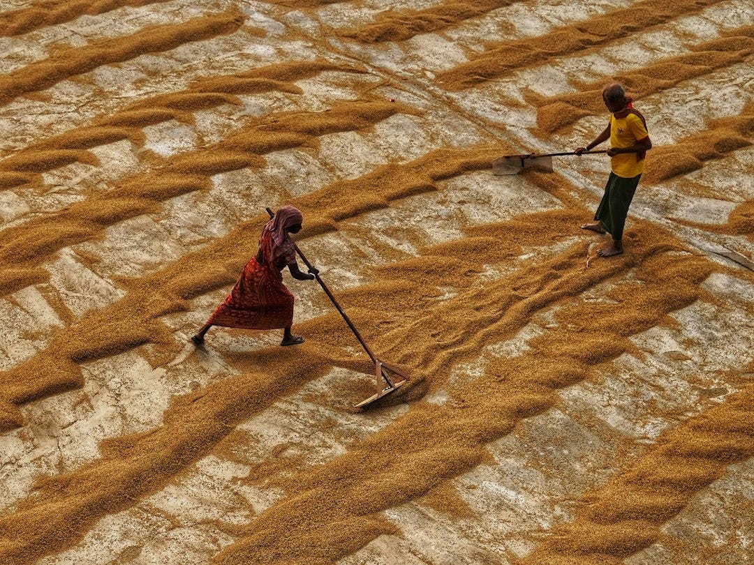 a few people stand in a desert a few people stand in a desert