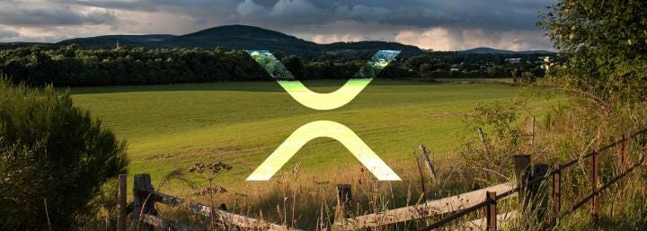 MoneyGram officially using XRP through Ripple’s xRapid for cross-border payments MoneyGram officially using XRP through Ripple’s xRapid for cross-border payments