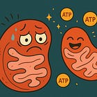 How to Rebuild Mitochondria and Restore ATP When Our Bodies Are Running on Empty