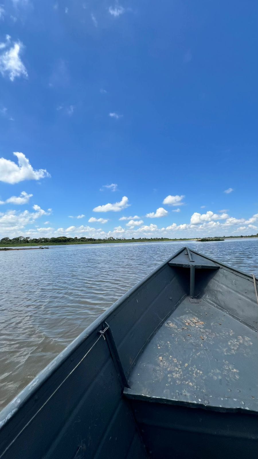 Project NAVIO and the Brazilian Institute of Behavioral Sciences