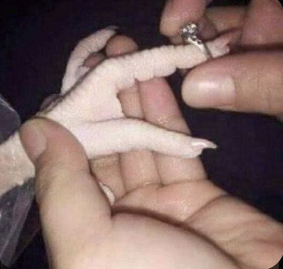 mãos brancas colocando um anel de noivado num pé de galinha