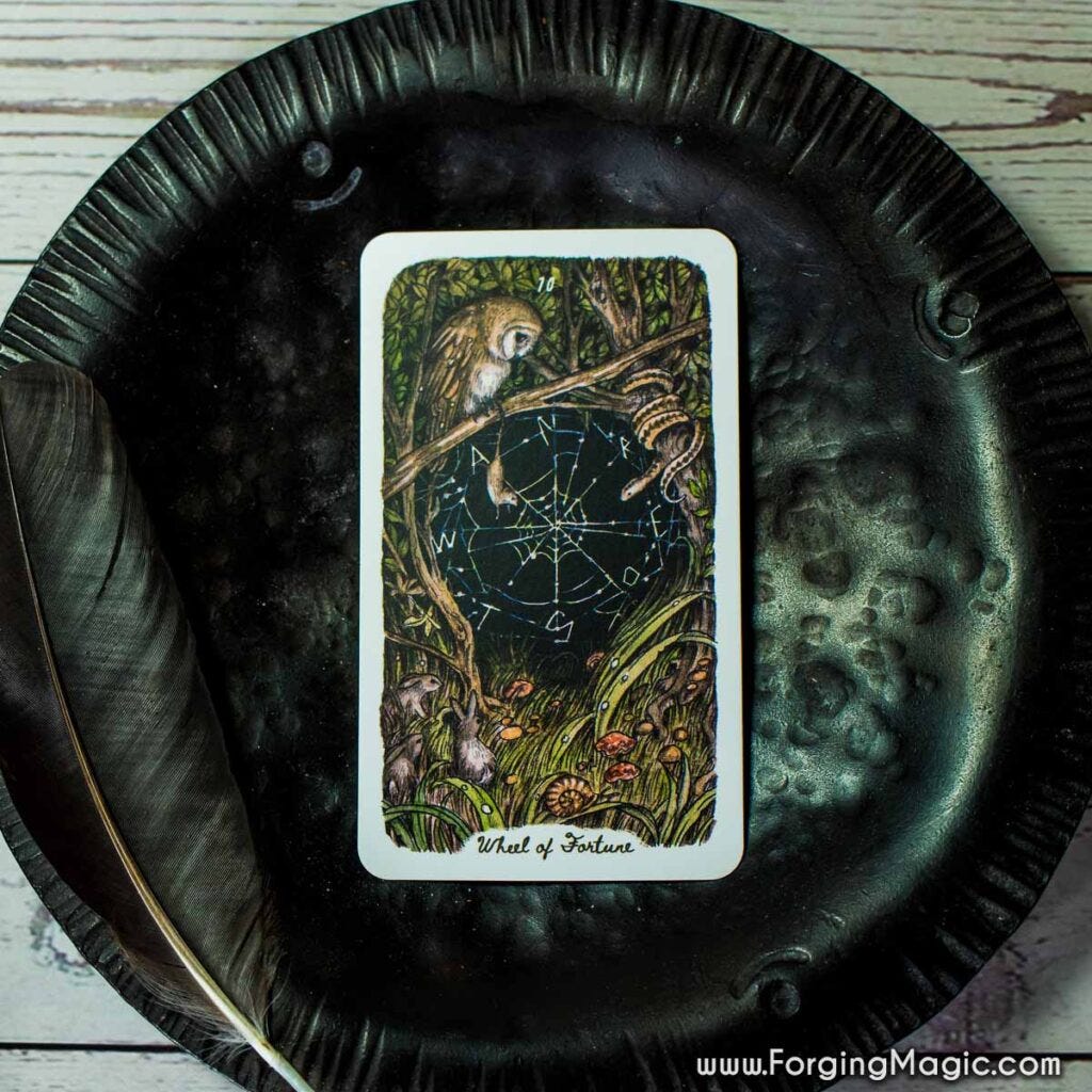 Oak Ash & Thorn Tarot Wheel of Fortune card