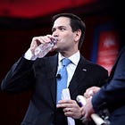 Is It Even A Sunday Show If Ronna (Romney) McDaniel Isn't On It?