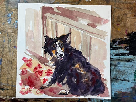 watercolour exercises paintings of a dog asleep on a chair, a blue parrot and a painting of a dog in a pub by Jo Scott