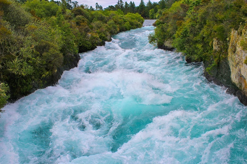 A raging river in the forest.