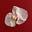 luce's avatar