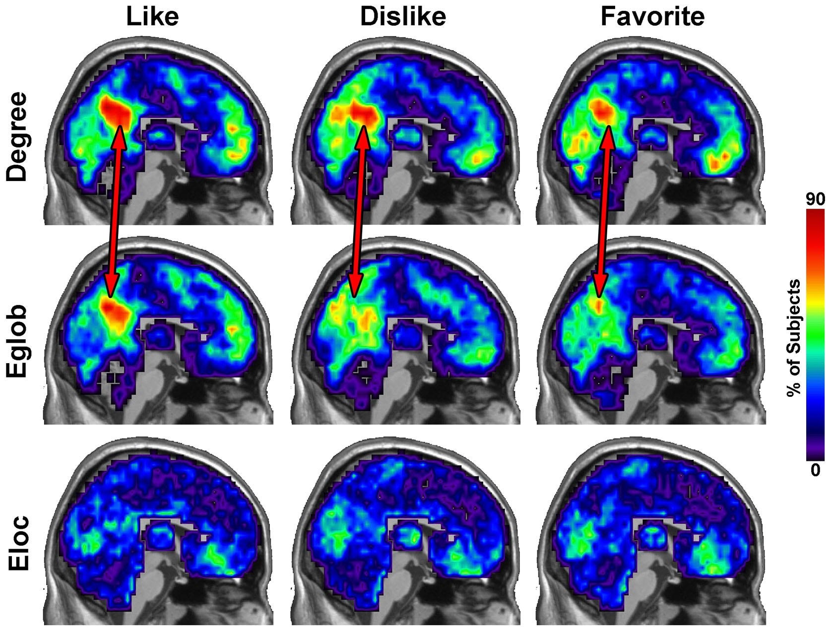 The Symphony Within: How Music Shapes Your Brain - by Steve