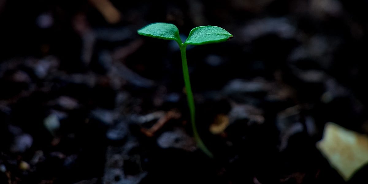 Why People Contribute to Something - Glasp Newsletter