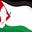 Free Palestine 🕊️'s avatar