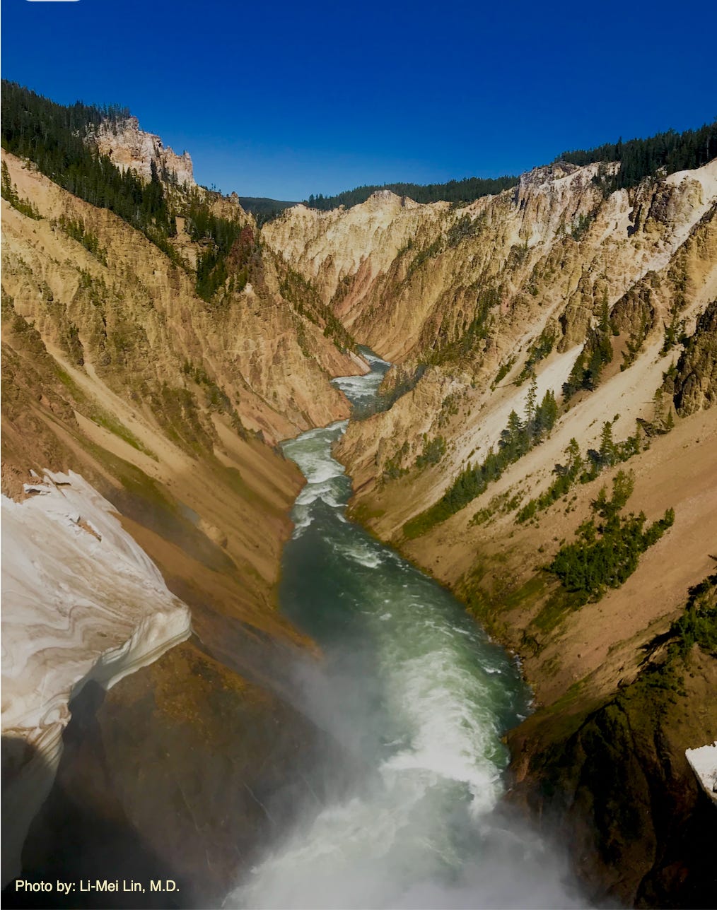 Grand Canyon Yellowstone by Li-Mei Lin, M.D. Grand Canyon Yellowstone by Li-Mei Lin, M.D.
