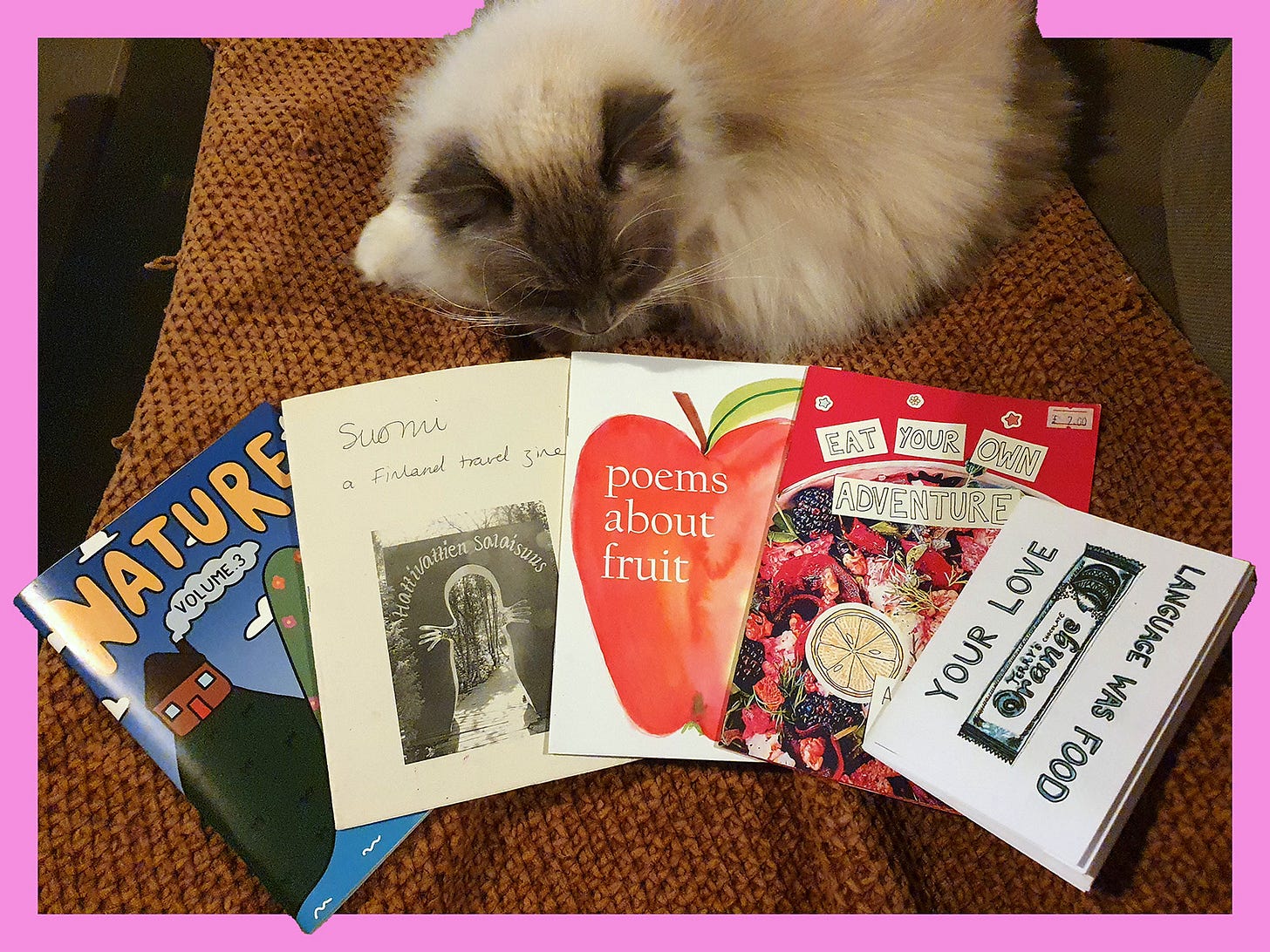 picture of five zines and a cat