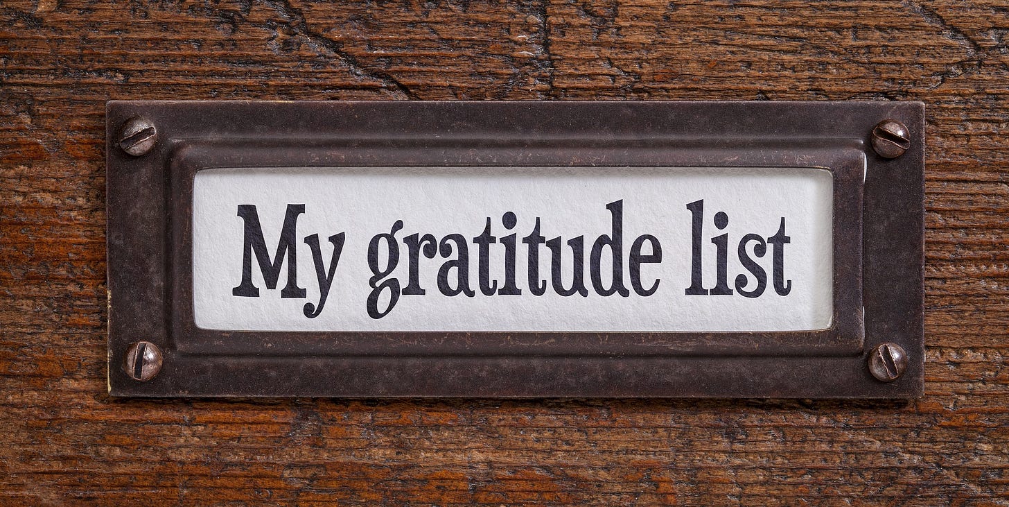 9 Reasons to Be Thankful This Thanksgiving | LIFECORE®