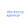 The Berry Agency’s Substack