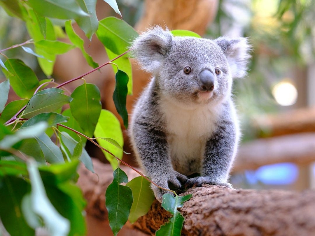 Les 7 Bonnes Nouvelles du Lundi 19 Janvier 2026