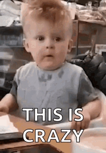 Wow Omg GIF