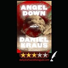 Book Review: Angel Down 