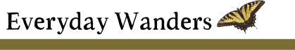 Everyday Wanders