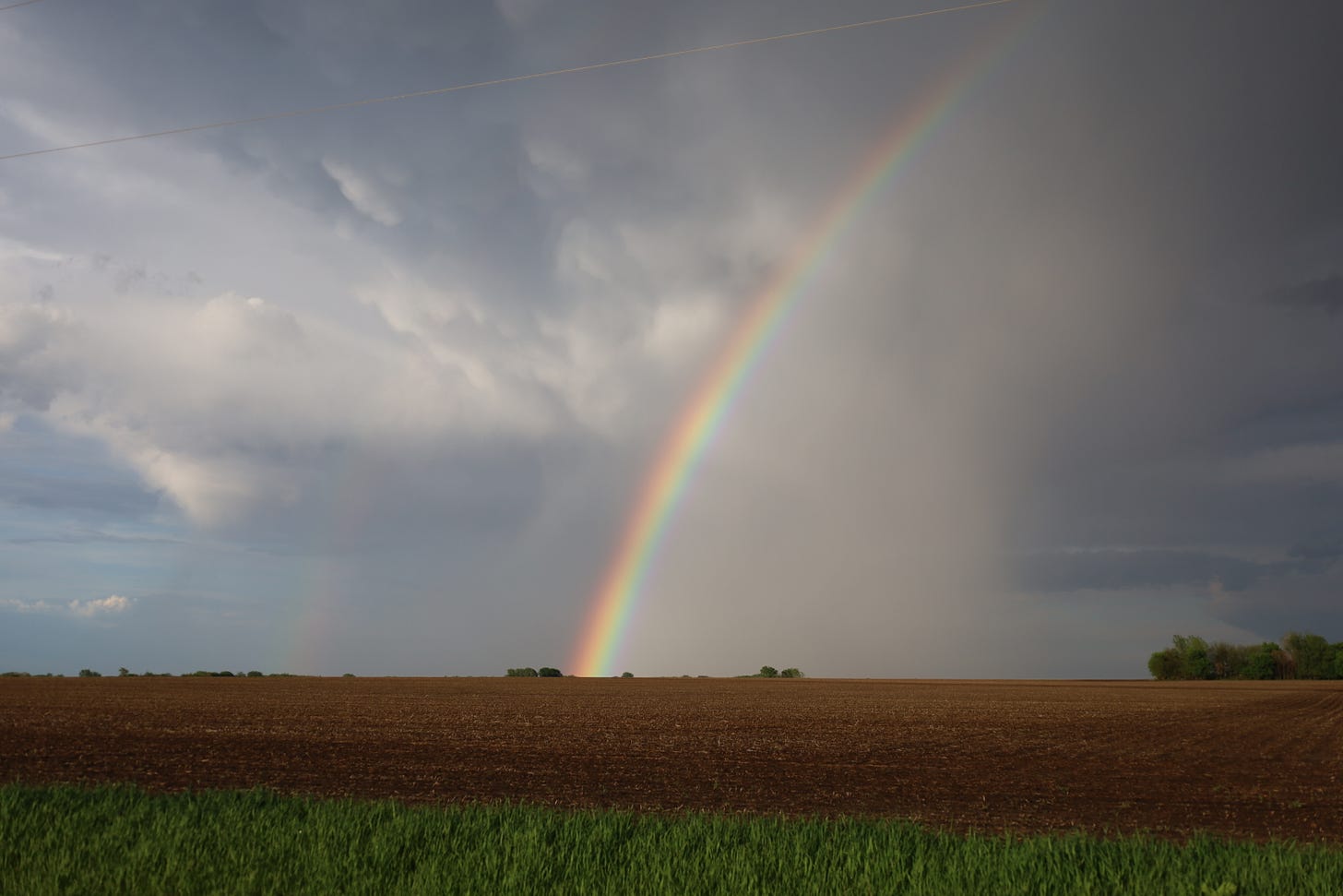 A rainbow!