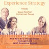 The Experience Strategist