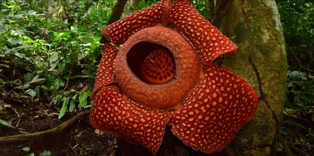 No photo description available.