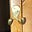 Drunk Octopus's avatar