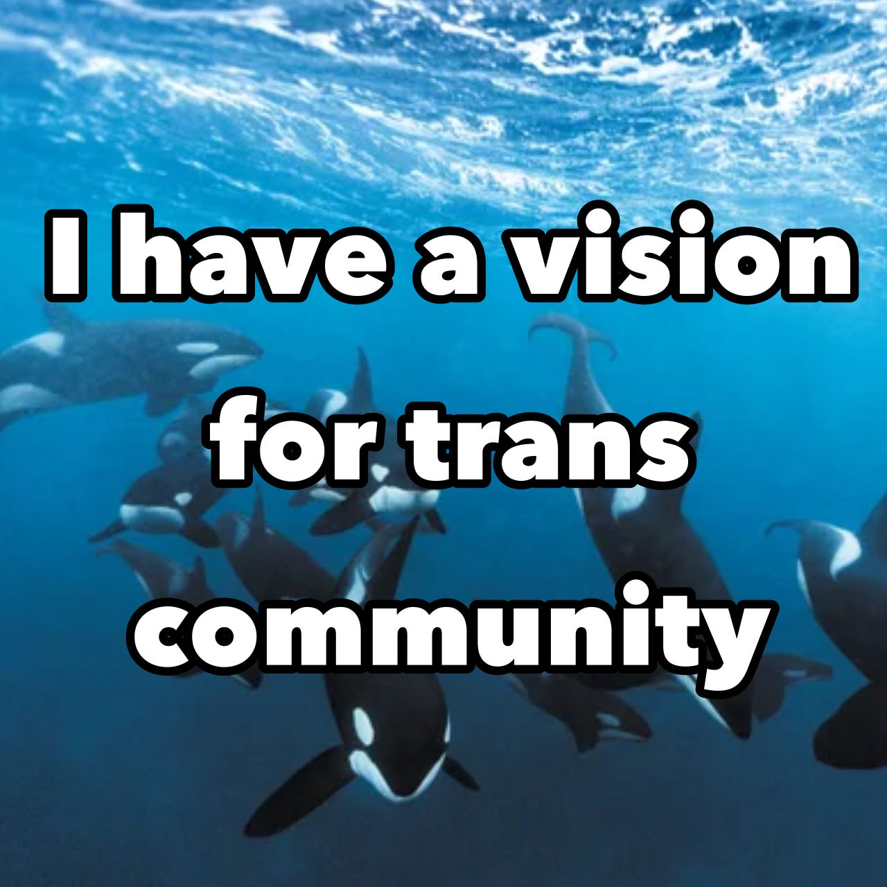 I have a vision for trans community I have a vision for trans community