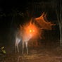 Dana Margolin's avatar
