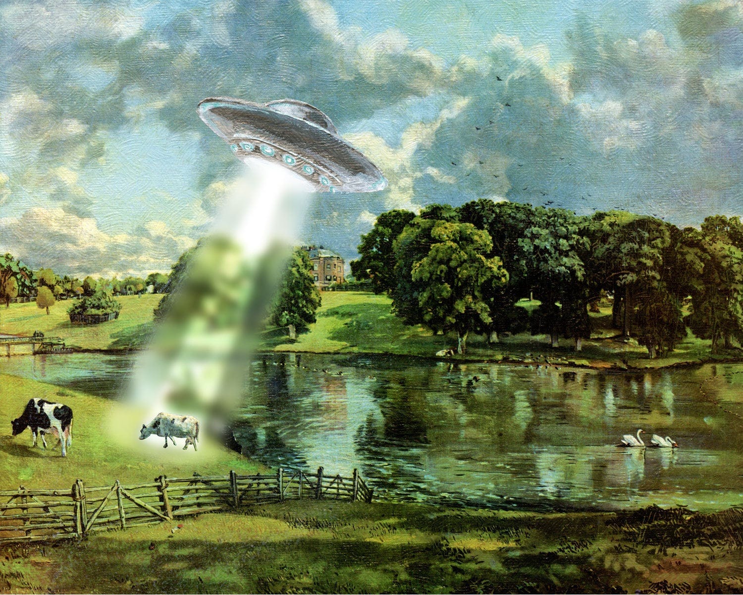 UFO Cow Abduction Aliens and Flying Saucers Urban Legends - Etsy Ireland