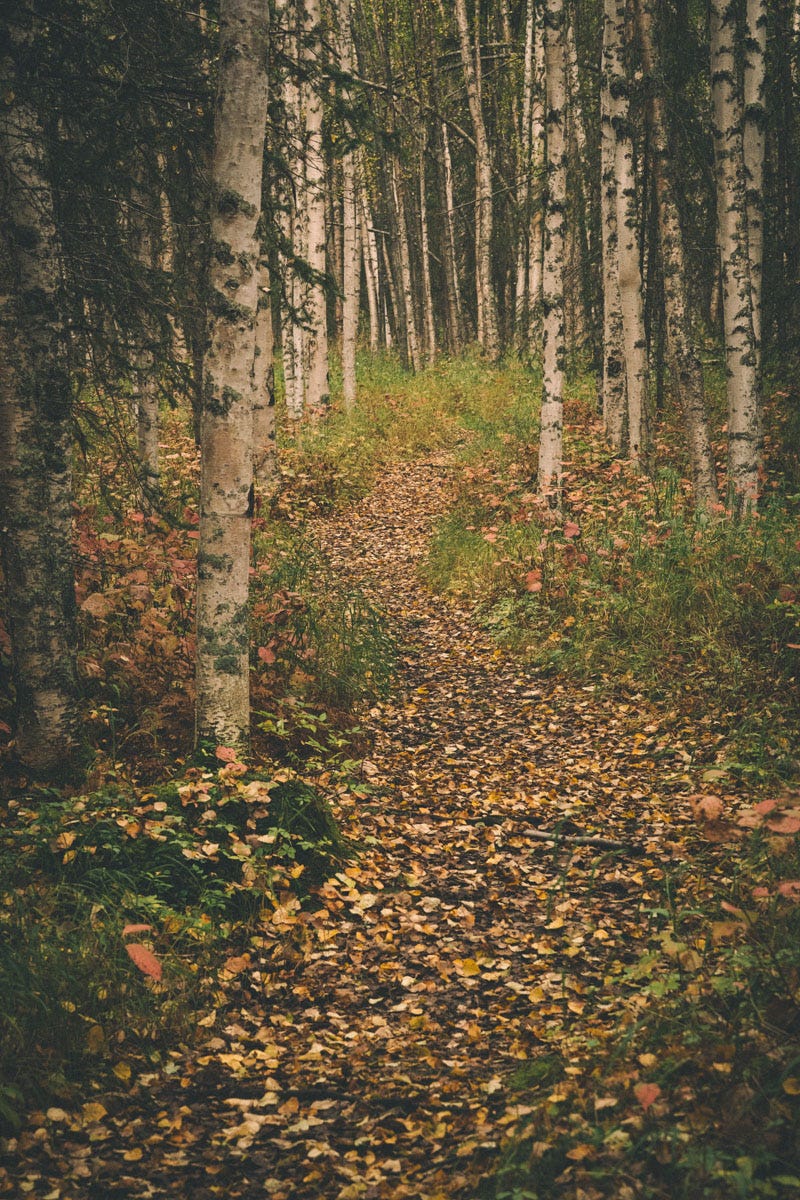 The Dew Mound Trail, Chugach State Park.