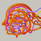 Polyvagale misverstanden (1)