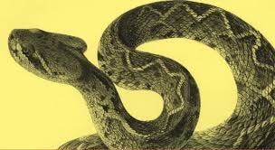 Donald Trump reads “The Snake” song ...