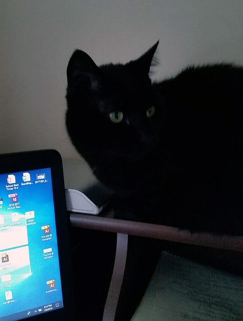 A black cat reads a book, a black cat sits on a desk near a computer, a black cat opens a bathroom door.