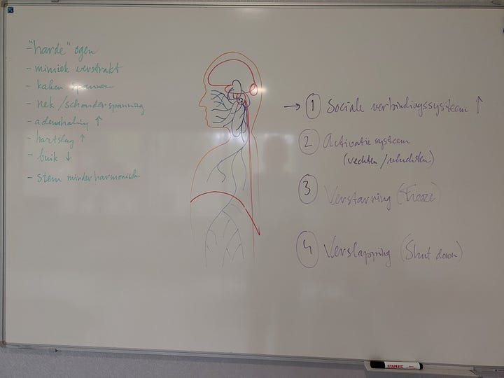 Zomaar twee van de vele whiteboards die ik volgetekend en -geschreven heb met mijn uitleg over de polyvagaaltheorie voor de patiënten in het ziekenhuis die in een groep zitten of individueel bij me komen.