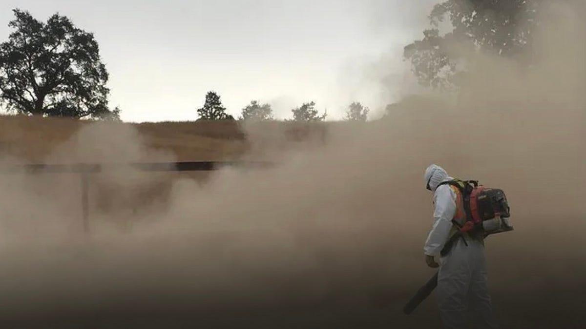 Chronicle Essay: The social theory of leaf blowers.