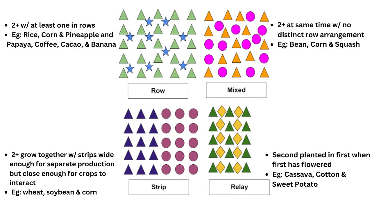 Crop Pattern Figure #50: GS3 | Major Crops and Cropping Patterns